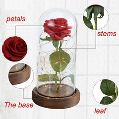 Enchanted Rose Flower Lamp